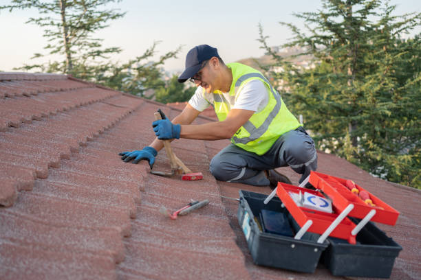 Best Metal Roofing Contractor  in Quinlan, TX