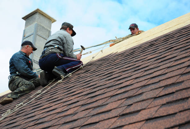 Best Best Roofing Contractors  in Quinlan, TX
