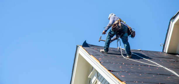 Best Roof Maintenance Services  in Quinlan, TX